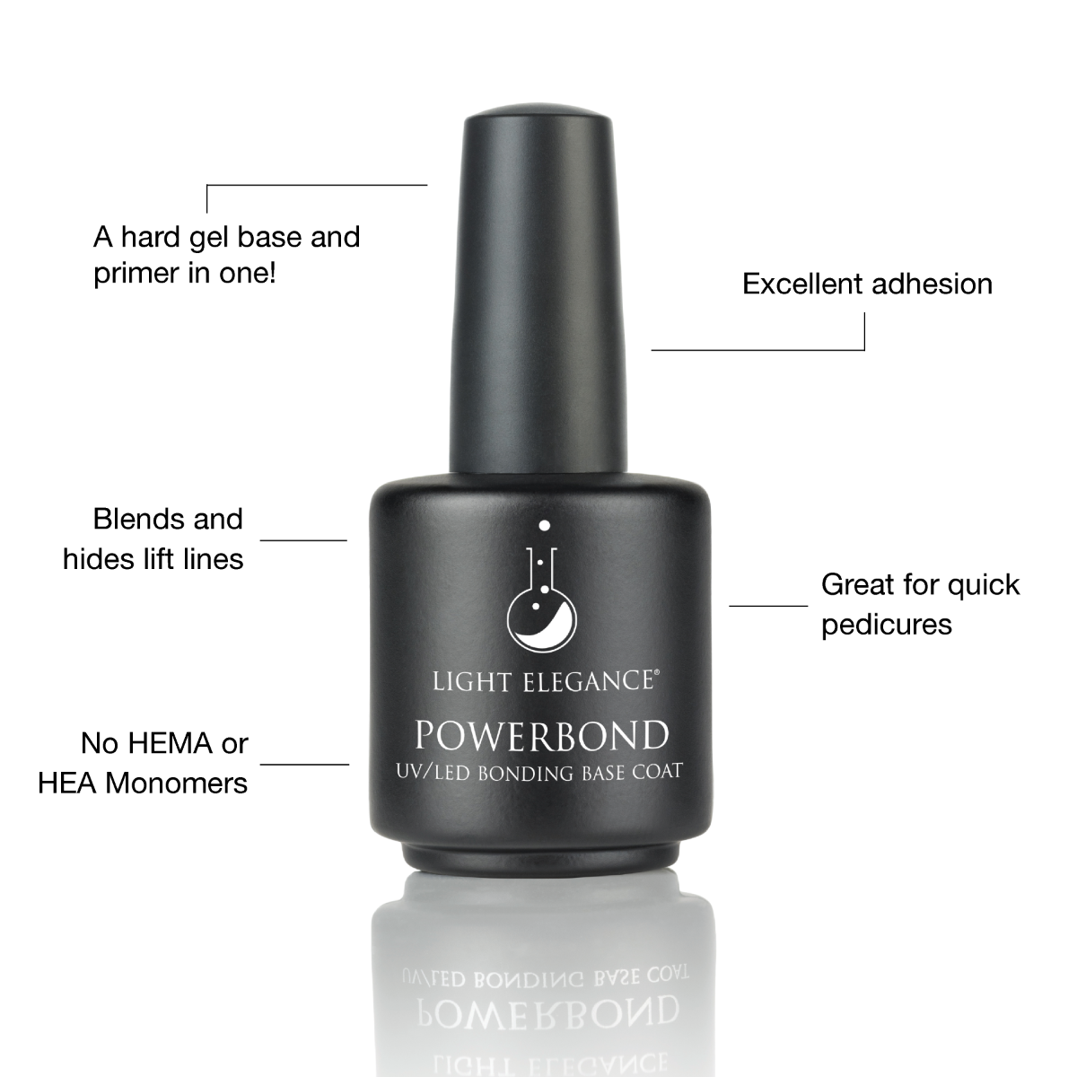 Hard Gel Base Bundle