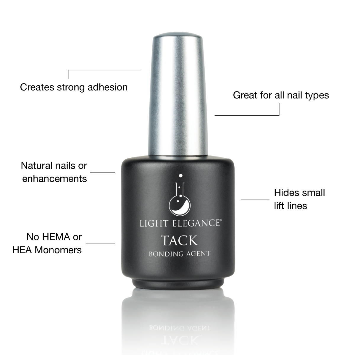 Hard Gel Base Bundle